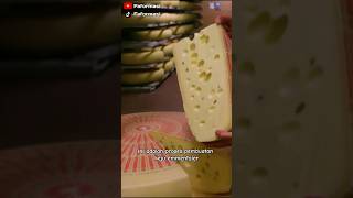 Pembuatan keju EMMENTALER CHEESE #shorts #keju #swiss #viral