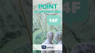 POINT D’ACUPUNCTURE - 14F /Qi Men #acupuncture #acupuncturepoints #medecinechinoise