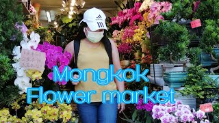 🔴MONGKOK FLOWER MARKET || HONGKONG ||  Mhai HK #hongkong #mongkokflowermarket