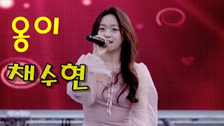 미스트롯3 채수현 💕 옹이 💚 제31회 진주시민 체육대회 4K 영상 (James Lee TV)