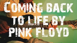 pink floyd || Coming back to life intro guitar solo cover.