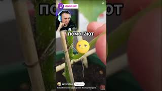 ЛУЧШИЙ ЛАЙВХАК 21🐹🤕СТРИМЫ КАЖДЫЙ ДЕНЬ🥰 #shorts #стрим #реакция #тикток #tiktok #мем #твичнарезки