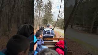 Horse ride through the woods of Vermont