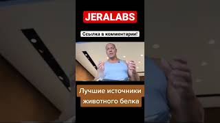 Лучшие источники животного белка