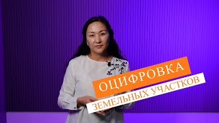 Оцифровка земельных участков при подаче заявок на субсидирование в сельском хозяйстве в Казахстане