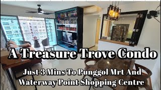 A Treasure Trove Condo For Sale !! Just 3 Mins Walk to Punggol Mrt And Waterway Point !!