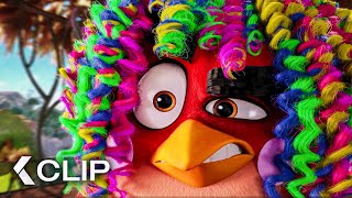 Try Not To Get Angry Scene - The Angry Birds Movie (2016)