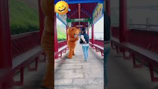 Funny Video l Funny Bear 🐻😂 P1711 #Shorts