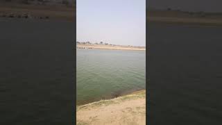 Chambal river UP MP border  बटेश्वर यूपी