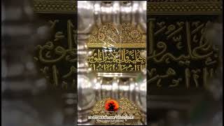 ZIYARAT OF HAZRAT MUSLIM IBN AQEEL (A.S) | MASJID E KUFA | #sipaeabbas #shorts #karbala