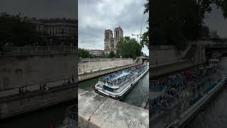 Walk about - Notre Dame, Paris #notredame #paris #travel #europe