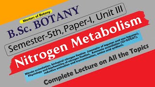 B.Sc. Botany 5th Semester | Paper I, Unit III: Nitrogen Metabolism | Complete Lecture