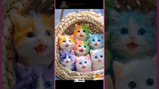 🌈 Cute Cats in All Colors Meowing Adorably! 😻#cutecat #shorts