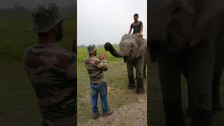 Rare exciting interaction with an elephant in Himalayas #wild #rare #trending #wildlife #trulywild