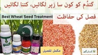 Best seed treatment for wheat seed before sowing  | Mansui, argyl super, manyu or Combipri benefits