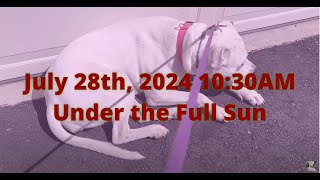 100. My Pit Loves Sunlight 07/28/2024 #pitbull #aivoice