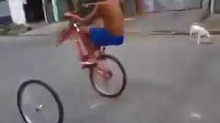 Funny Videos