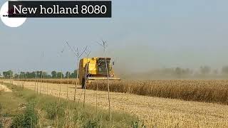 New Holland 8080 & Leverda Fiatagri 3650| wheat harvesting and making straw in field پنجاب پاکستان