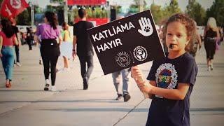 Binlerce kişi sokak hayvanları için Yenikapı'da buluştu