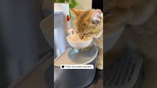 Filter free Cat Water Fountain, Link is on bio or copy:www.niopets.com