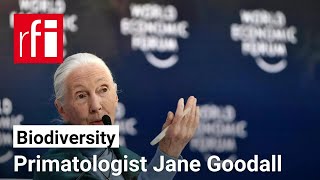 Primatologist Jane Goodall warns: ‘The world is a mess’ ahead of COP16 • RFI English