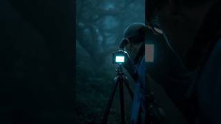 Dark mornings spent in foggy woodlands.  #contentcreator #photography #gear #filmmakerslife