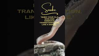 Snake