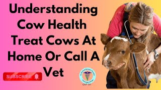 When to Call the Vet vs. Home Care for Cows | GNP Sir