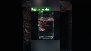 Deney : Dağılan renkler #shorts