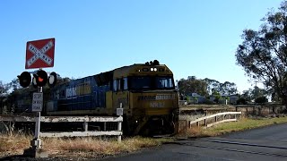 Pacific National Intermodal Freight Train Passing Packham Dr Crossing, Molong NSW. 18 November 2023