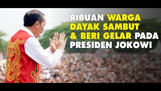 Ribuan Warga Dayak, Sambut & Beri Gelar Adat pada Presiden Jokowi