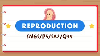 PSLE SCIENCE MADE SIMPLE EP180 | Reproduction | Facts About A Baby Inside The Womb 👩🏻‍🍼