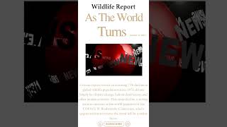 As The World Turns: Wildlife Report #news