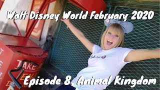 Walt Disney World February 2020 | Episode 8 | Animal Kingdom