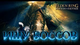 ИЩУ БОССОВ  №23 ELDEN RING Shadow of the Erdtree  2024