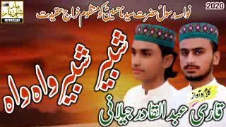 Hussain soniaan da peer wah wah|حسین سنیوں دا پیر واہ واہ||jelani Brothers official||