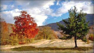 MICHAEL LANDON - Linda is lonesome