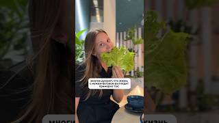 Правда ли жизнь с vegan выглядит вот так?🤣 #путешествия #юмор #влог