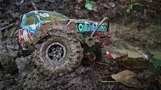 RC Cars in the mud