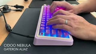 Cidoo Nebula | Gateron Aliaz Switches | Typing Sounds