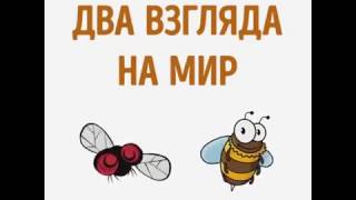 2 взгляда на мир!