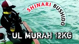 JORAN UL MURAH BERKUALITAS - SHINARI BUSHIDO || Best fishing Hd