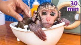 Summary of the best videos about Baby monkey Bon Bon | Monkey Baby Bon Bon  puppy and duckling|Funny