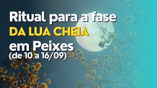 Ritual da lua cheia em Peixes - para conexão com a clareza da lua e a intuição pisciana!