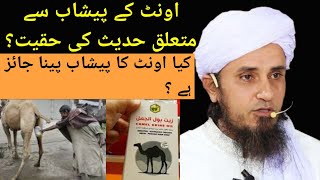 Is Drinking Camel Urine Legal In Islam By Mufti Tariq Masood? | Ask Mufti Tariq Masood |