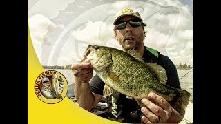 Junk Fishing - 1 Fish, 2 Fish, Can't fish, F-you Fish. Lake Couchiching Bass Fishing (2017)