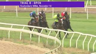 Ferinzo trials at Hawkesbury