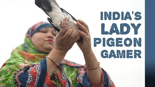 Passion for pigeons | India