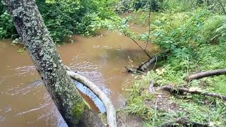 Karasta river after rain