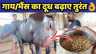 गाय/भैंस का दूध बढ़ाने का घरेलू नुस्खा👌|Doodh bdhane ka tarika|Formula for increse cow buffalo milk.